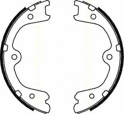 TRISCAN 810014009 Комплект гальмівних колодок, стоянкова гальмівна система