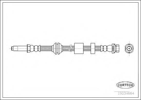 CORTECO 19034664 Гальмівний шланг