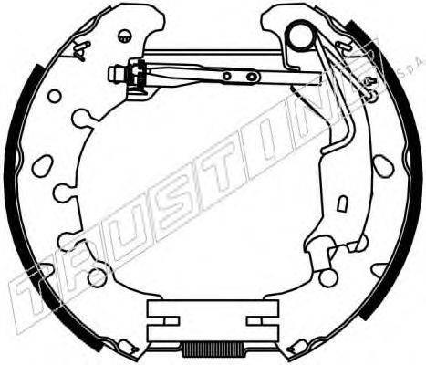 TRUSTING 6381 Комплект гальмівних колодок