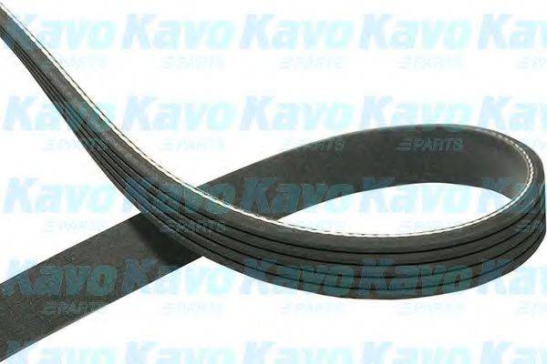 KAVO PARTS DMV1031 Полікліновий ремінь