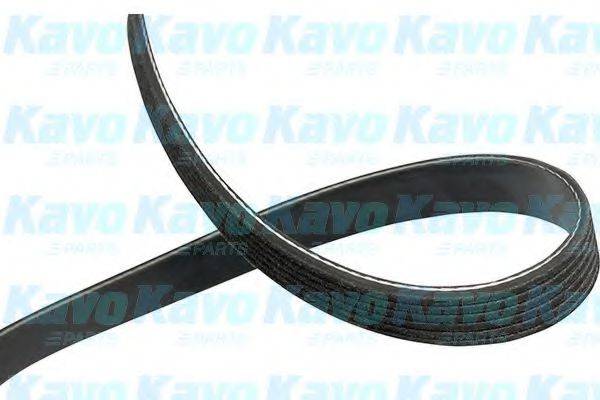 KAVO PARTS DMV1524 Полікліновий ремінь