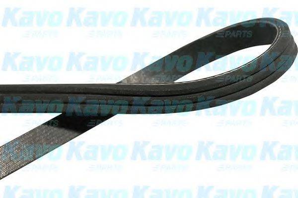 KAVO PARTS DMV2034 Полікліновий ремінь