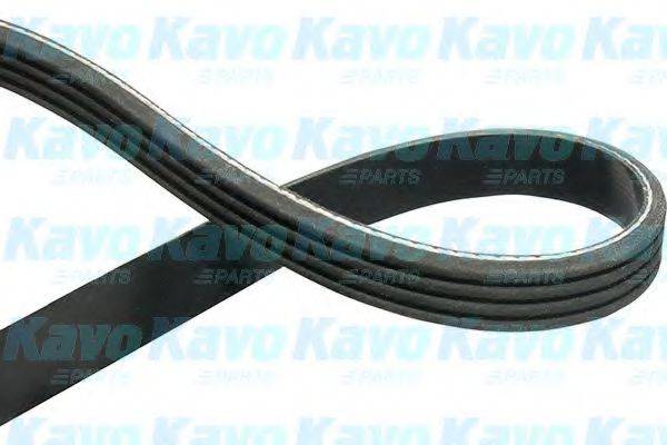 KAVO PARTS DMV4004 Полікліновий ремінь