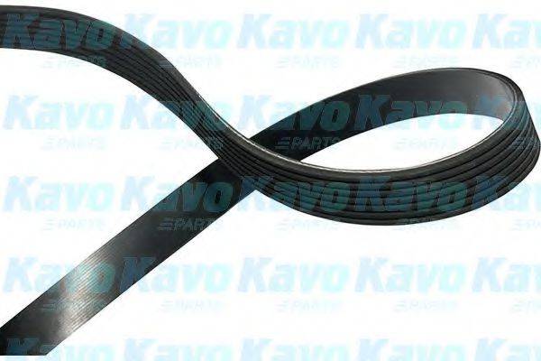 KAVO PARTS DMV4524 Полікліновий ремінь