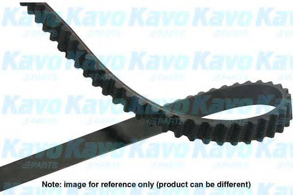 KAVO PARTS DTB5547 Ремінь ГРМ