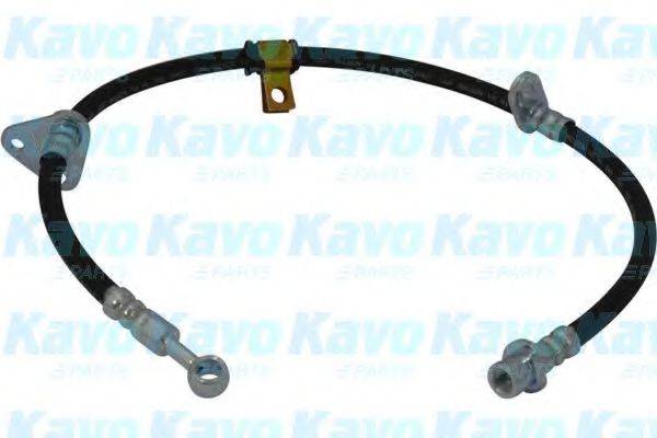 KAVO PARTS BBH2007 Гальмівний шланг