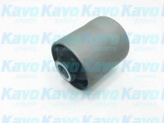 KAVO PARTS SCR5555 Підвіска, важіль незалежної підвіски колеса