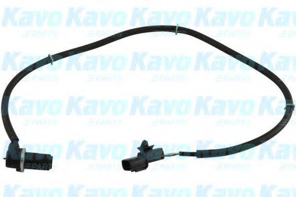 KAVO PARTS BAS5513 Датчик, частота обертання колеса