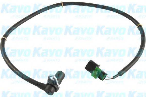 KAVO PARTS BAS5530 Датчик, частота обертання колеса