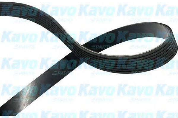 KAVO PARTS DMV3053 Полікліновий ремінь