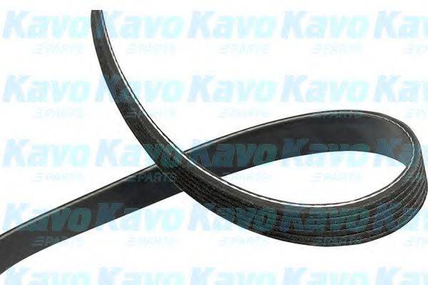 KAVO PARTS DMV4569 Полікліновий ремінь