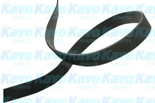 KAVO PARTS DMV4570 Полікліновий ремінь