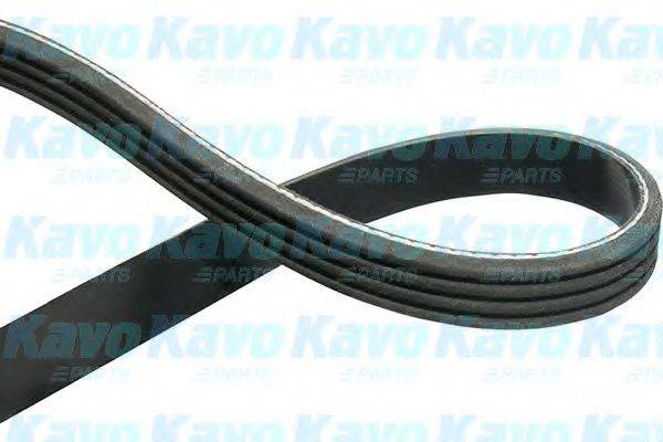 KAVO PARTS DMV9118 Полікліновий ремінь