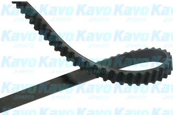 KAVO PARTS DTB1011 Ремінь ГРМ