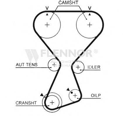 FLENNOR 14376 Ремінь ГРМ