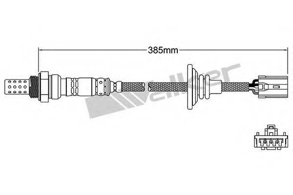 WALKER PRODUCTS 25024231 Лямбда-зонд