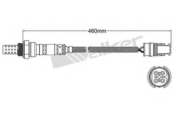 WALKER PRODUCTS 25024412 Лямбда-зонд