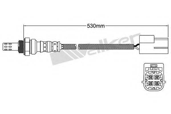 WALKER PRODUCTS 25024450 Лямбда-зонд