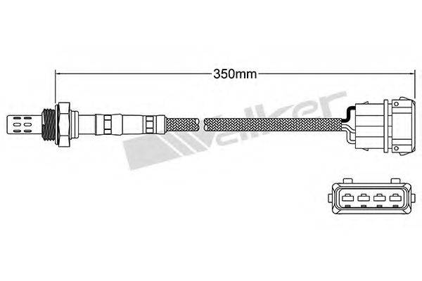 WALKER PRODUCTS 25023148 Лямбда-зонд