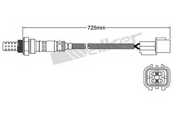 WALKER PRODUCTS 25024631 Лямбда-зонд