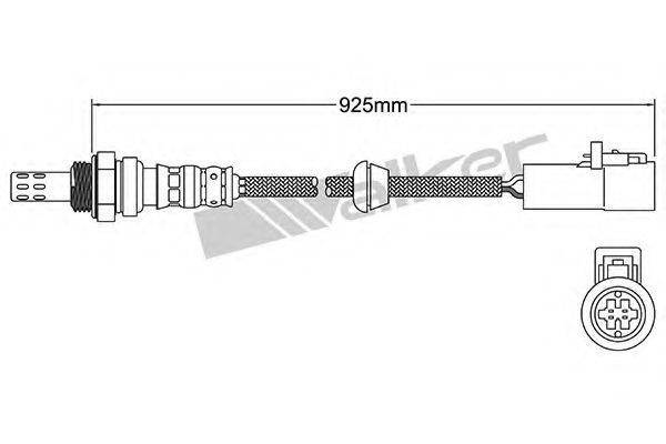 WALKER PRODUCTS 25024903 Лямбда-зонд