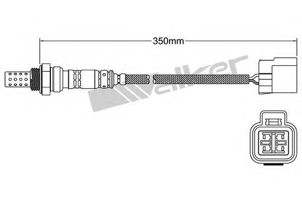 WALKER PRODUCTS 25024885 Лямбда-зонд