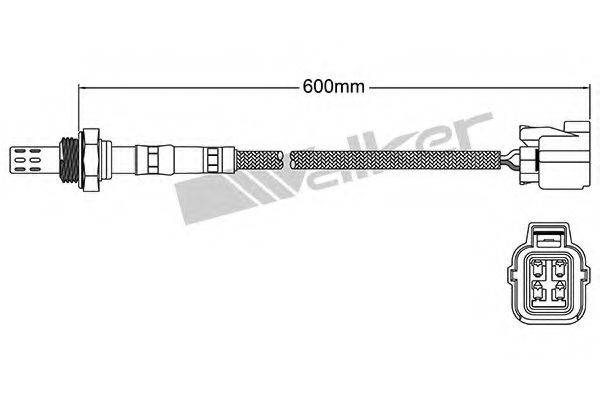 WALKER PRODUCTS 25024922 Лямбда-зонд