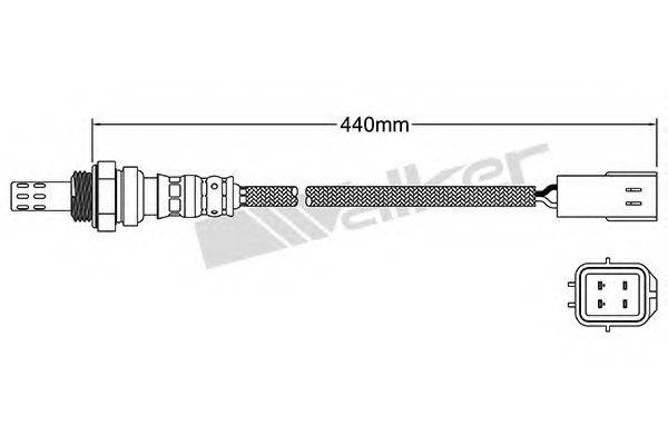 WALKER PRODUCTS 25024384 Лямбда-зонд