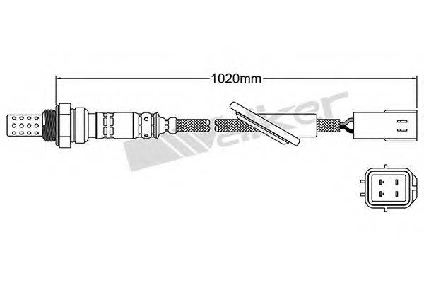 WALKER PRODUCTS 25024641 Лямбда-зонд