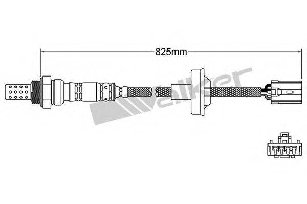 WALKER PRODUCTS 25024886 Лямбда-зонд