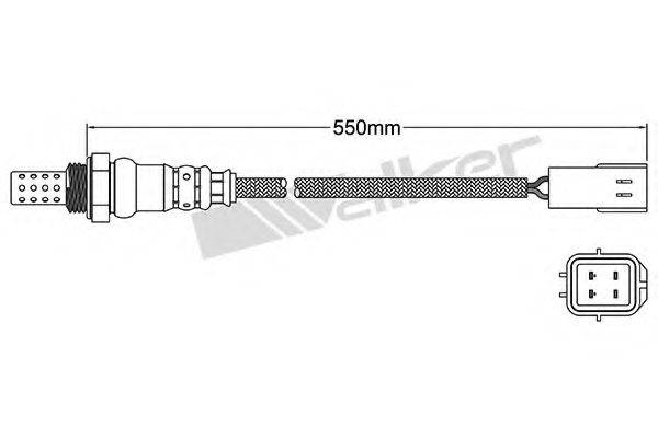 WALKER PRODUCTS 25024447 Лямбда-зонд