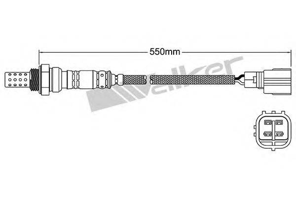 WALKER PRODUCTS 25024884 Лямбда-зонд