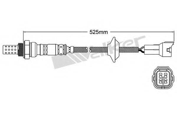 WALKER PRODUCTS 25024442 Лямбда-зонд