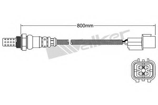 WALKER PRODUCTS 25024887 Лямбда-зонд