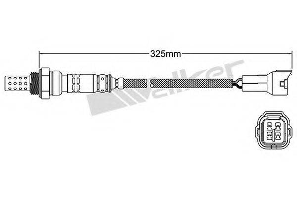 WALKER PRODUCTS 25024049 Лямбда-зонд