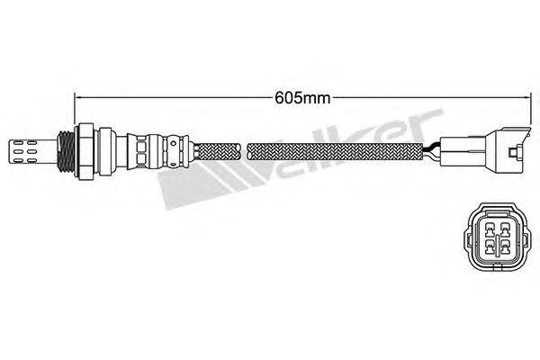 WALKER PRODUCTS 25024407 Лямбда-зонд