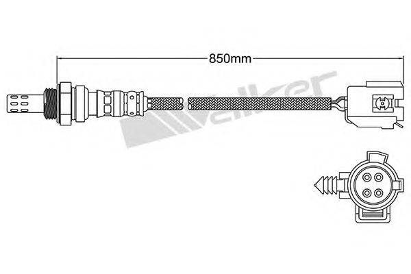 WALKER PRODUCTS 25024945 Лямбда-зонд