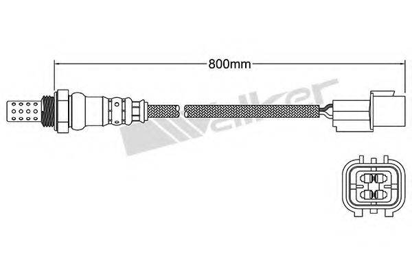 WALKER PRODUCTS 25024236 Лямбда-зонд