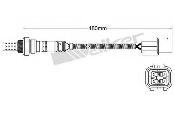 WALKER PRODUCTS 25024630 Лямбда-зонд