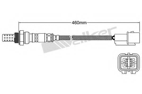 WALKER PRODUCTS 25024662 Лямбда-зонд