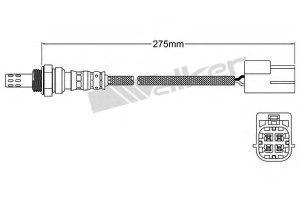 WALKER PRODUCTS 25024951 Лямбда-зонд