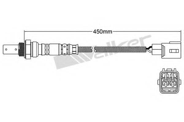 WALKER PRODUCTS 25054003 Лямбда-зонд