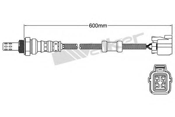 WALKER PRODUCTS 25024446 Лямбда-зонд