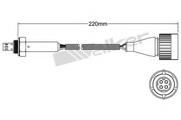 WALKER PRODUCTS 25024809 Лямбда-зонд