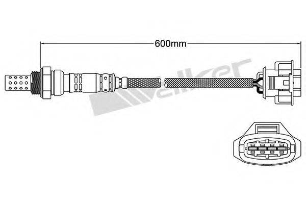 WALKER PRODUCTS 25024571 Лямбда-зонд