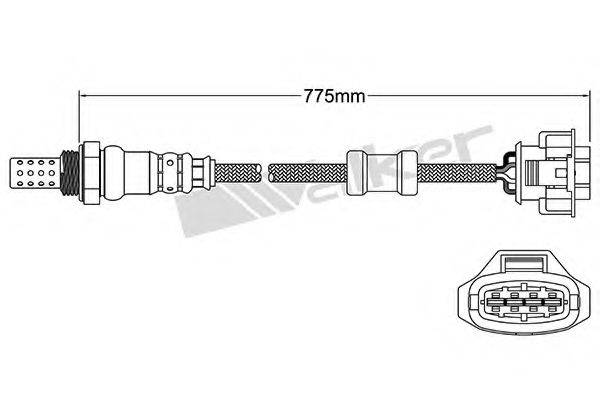 WALKER PRODUCTS 25024682 Лямбда-зонд