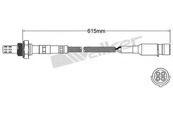 WALKER PRODUCTS 25024310 Лямбда-зонд