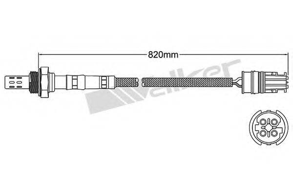 WALKER PRODUCTS 25024445 Лямбда-зонд