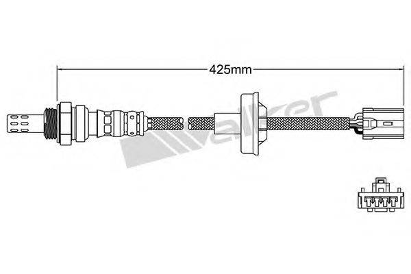 WALKER PRODUCTS 25024981 Лямбда-зонд