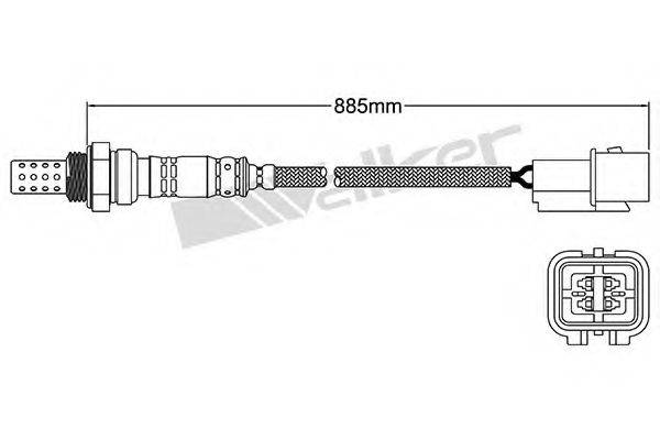 WALKER PRODUCTS 25024241 Лямбда-зонд